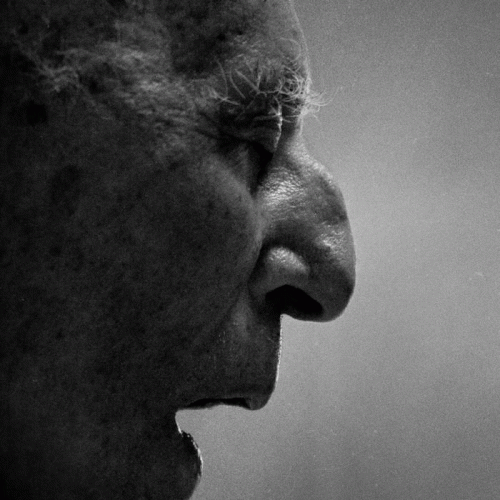 Offermose : M​ø​rkt For​å​r